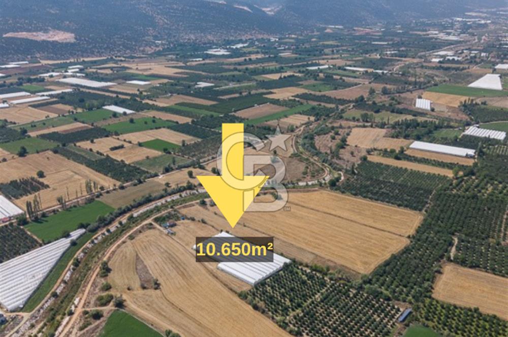 ANTALYA ELMALI ÇAYBAŞI’NDA CB ARDEN DEN SATILIK TARLA 10.650 m² tarla– 5.300 m² ‘si KURULU SERA + EV