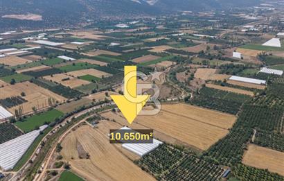 ANTALYA ELMALI ÇAYBAŞI’NDA CB ARDEN DEN SATILIK TARLA 10.650 m² tarla– 5.300 m² ‘si KURULU SERA + EV