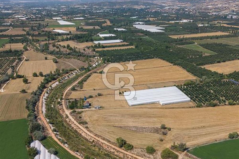 ANTALYA ELMALI ÇAYBAŞI’NDA CB ARDEN DEN SATILIK TARLA 10.650 m² tarla– 5.300 m² ‘si KURULU SERA + EV