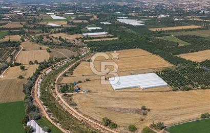 ANTALYA ELMALI ÇAYBAŞI’NDA CB ARDEN DEN SATILIK TARLA 10.650 m² tarla– 5.300 m² ‘si KURULU SERA + EV