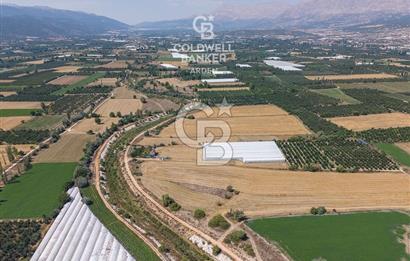 ANTALYA ELMALI ÇAYBAŞI’NDA CB ARDEN DEN SATILIK TARLA 10.650 m² tarla– 5.300 m² ‘si KURULU SERA + EV