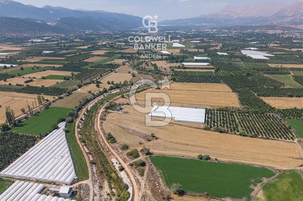 ANTALYA ELMALI ÇAYBAŞI’NDA CB ARDEN DEN SATILIK TARLA 10.650 m² tarla– 5.300 m² ‘si KURULU SERA + EV