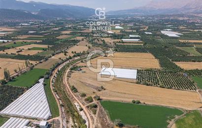 ANTALYA ELMALI ÇAYBAŞI’NDA CB ARDEN DEN SATILIK TARLA 10.650 m² tarla– 5.300 m² ‘si KURULU SERA + EV