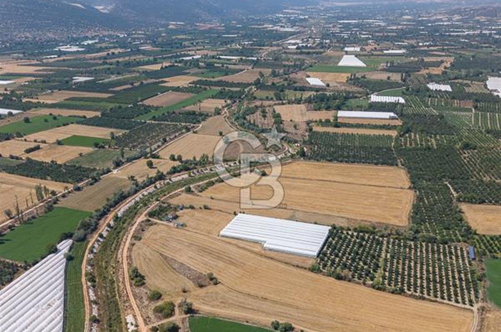 ANTALYA ELMALI ÇAYBAŞI’NDA CB ARDEN DEN SATILIK TARLA 10.650 m² tarla– 5.300 m² ‘si KURULU SERA + EV