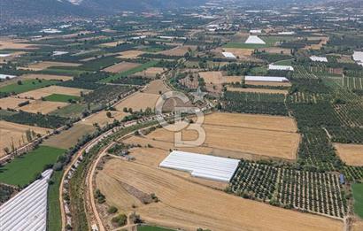 ANTALYA ELMALI ÇAYBAŞI’NDA CB ARDEN DEN SATILIK TARLA 10.650 m² tarla– 5.300 m² ‘si KURULU SERA + EV