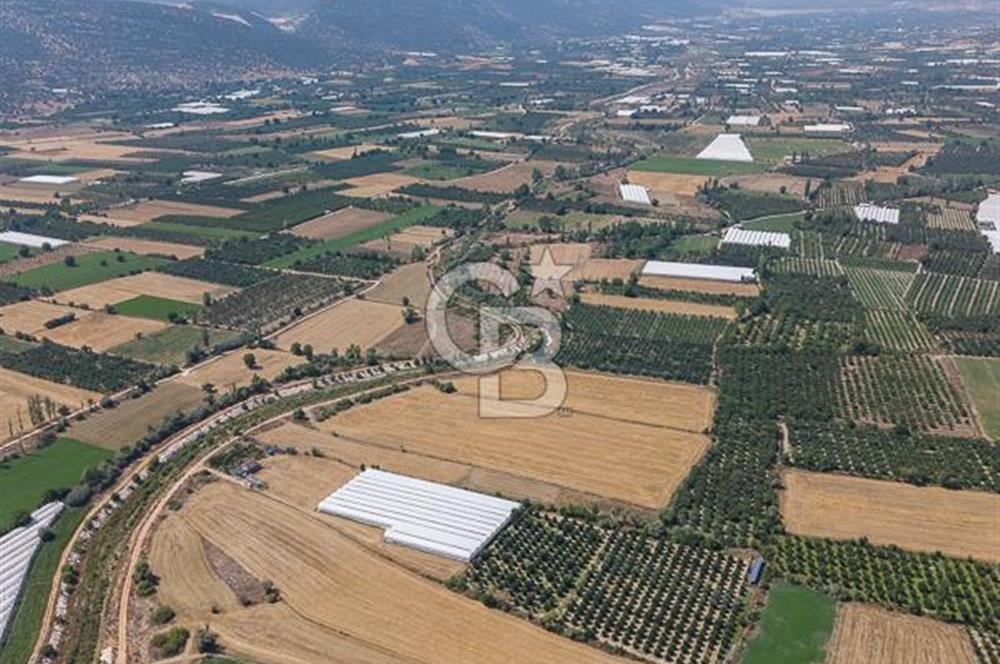 ANTALYA ELMALI ÇAYBAŞI’NDA CB ARDEN DEN SATILIK TARLA 10.650 m² tarla– 5.300 m² ‘si KURULU SERA + EV