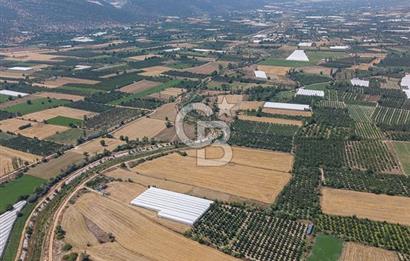 ANTALYA ELMALI ÇAYBAŞI’NDA CB ARDEN DEN SATILIK TARLA 10.650 m² tarla– 5.300 m² ‘si KURULU SERA + EV