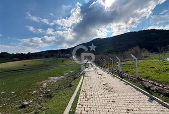 EVONADAN AYVACIK KÖYÜNDE 5.664 M2 MÜSTAKİL TAPULU TARLA - 1 - 370691