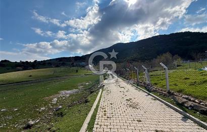 EVONADAN AYVACIK KÖYÜNDE 5.664 M2 MÜSTAKİL TAPULU TARLA