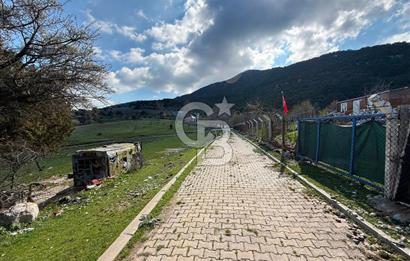 EVONADAN AYVACIK KÖYÜNDE 5.664 M2 MÜSTAKİL TAPULU TARLA