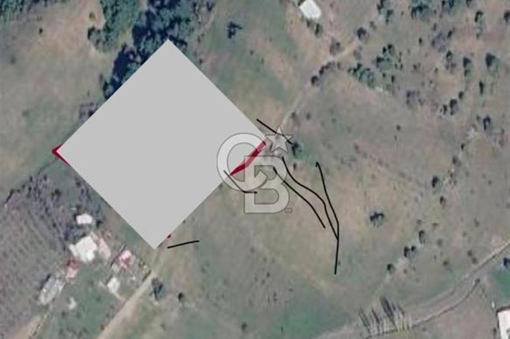 EVONADAN AYVACIK KÖYÜNDE 5.664 M2 MÜSTAKİL TAPULU TARLA