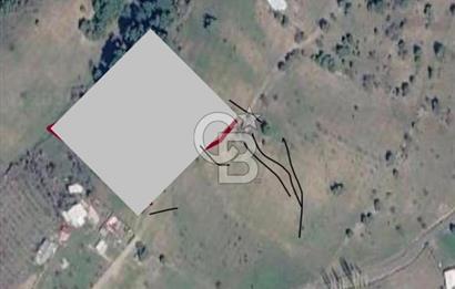 EVONADAN AYVACIK KÖYÜNDE 5.664 M2 MÜSTAKİL TAPULU TARLA