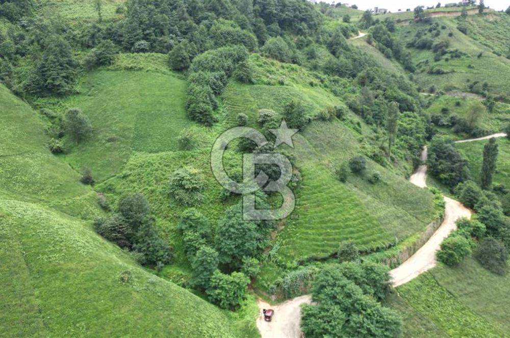 OF KUMLUDERE'DE SATILIK 2.623 M² ARAZİ