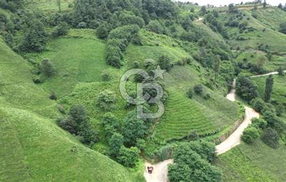 OF KUMLUDERE'DE SATILIK 2.623 M² ARAZİ