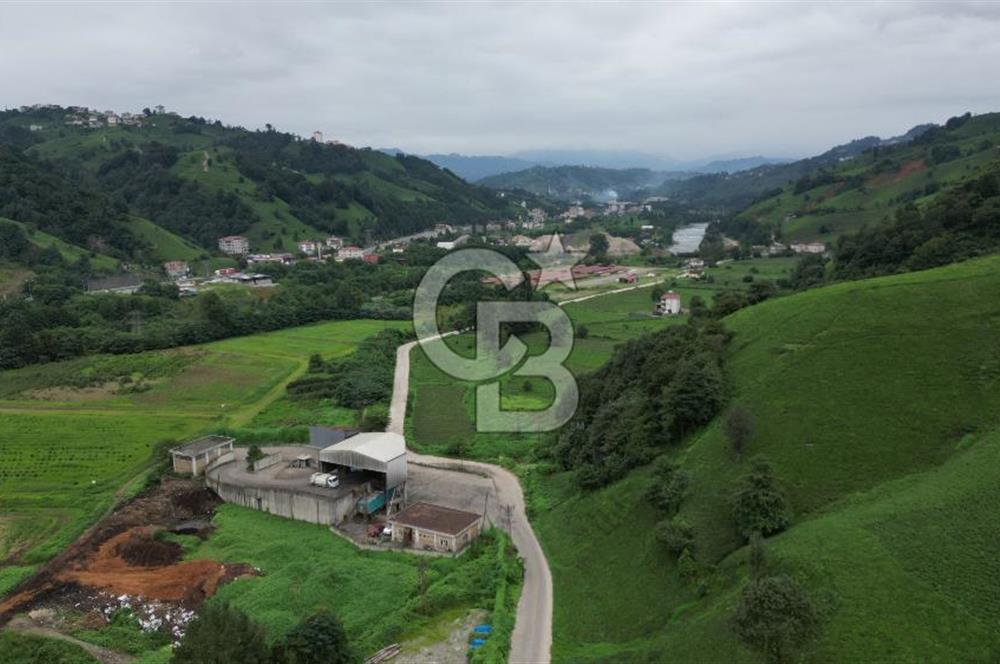 OF KUMLUDERE'DE SATILIK 2.623 M² ARAZİ