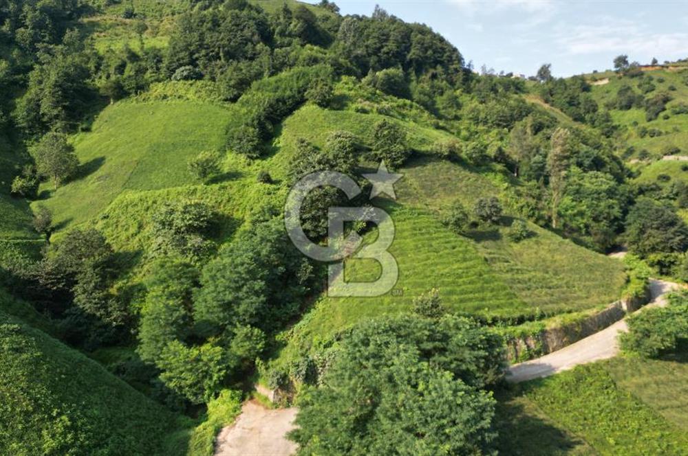 OF KUMLUDERE'DE SATILIK 2.623 M² ARAZİ