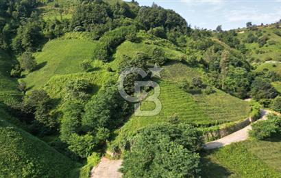 OF KUMLUDERE'DE SATILIK 2.623 M² ARAZİ