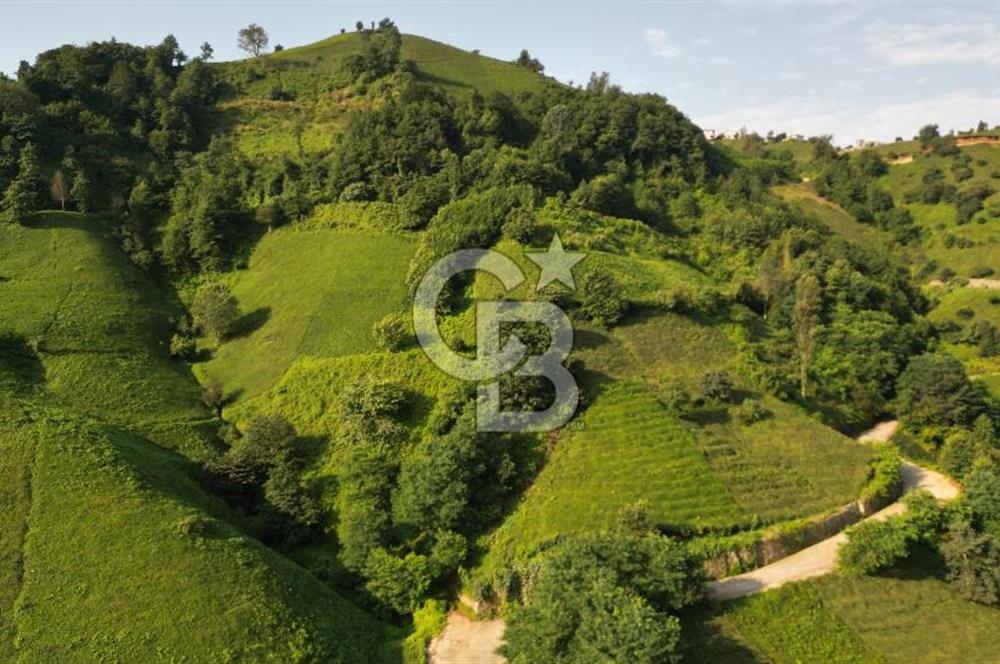 OF KUMLUDERE'DE SATILIK 2.623 M² ARAZİ