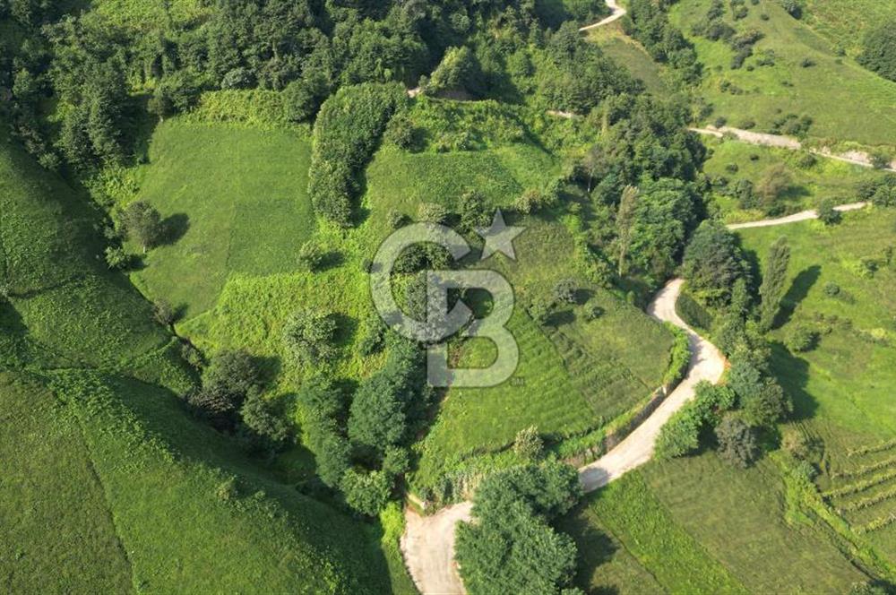 OF KUMLUDERE'DE SATILIK 2.623 M² ARAZİ