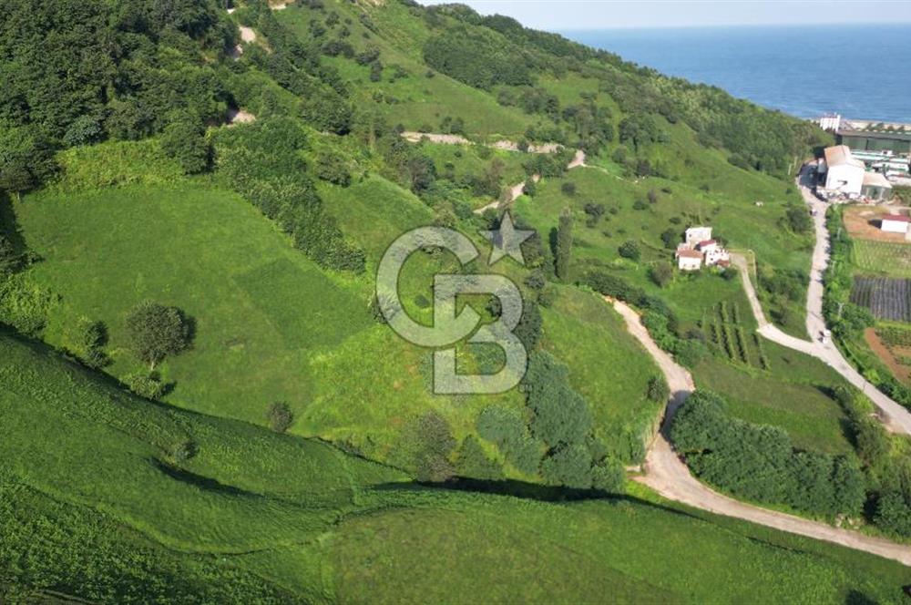 OF KUMLUDERE'DE SATILIK 2.623 M² ARAZİ