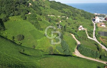 OF KUMLUDERE'DE SATILIK 2.623 M² ARAZİ