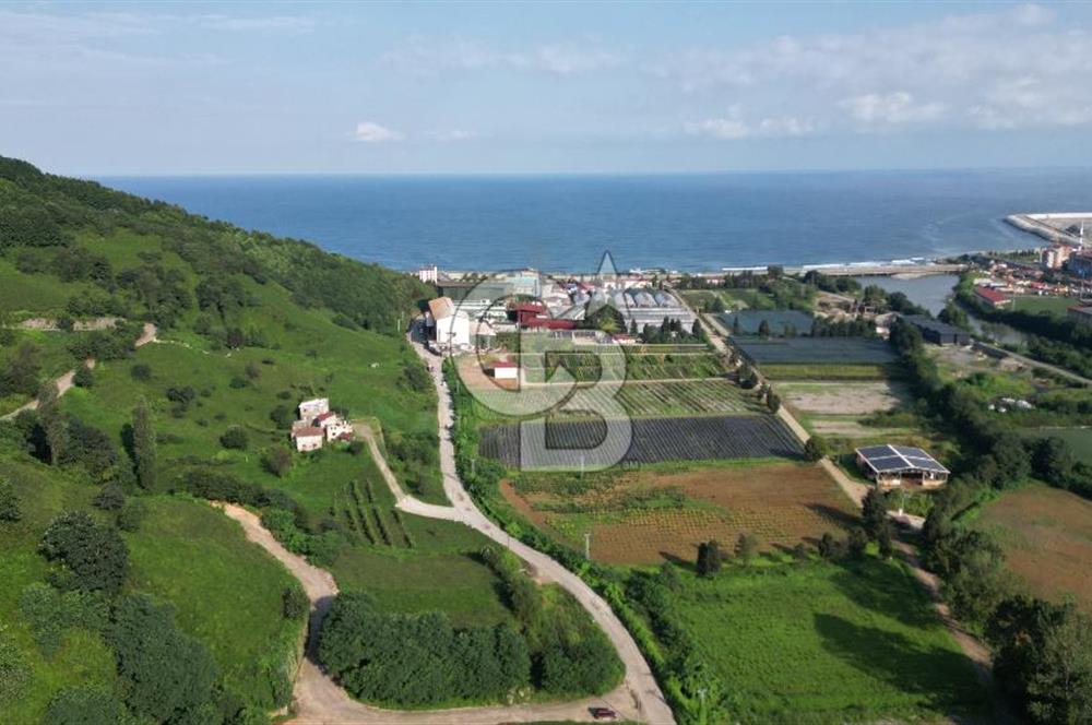 OF KUMLUDERE'DE SATILIK 2.623 M² ARAZİ