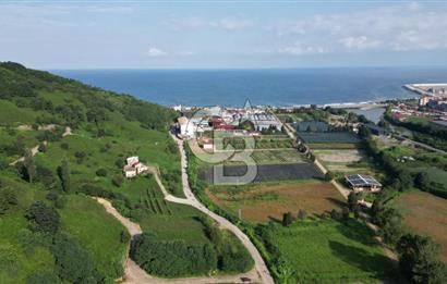 OF KUMLUDERE'DE SATILIK 2.623 M² ARAZİ