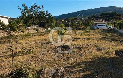 DİKİLİ ESENTEPE DE YATIRIMA VE VİLLA YAPIMINA UYGUN FIRSAT ARSA!