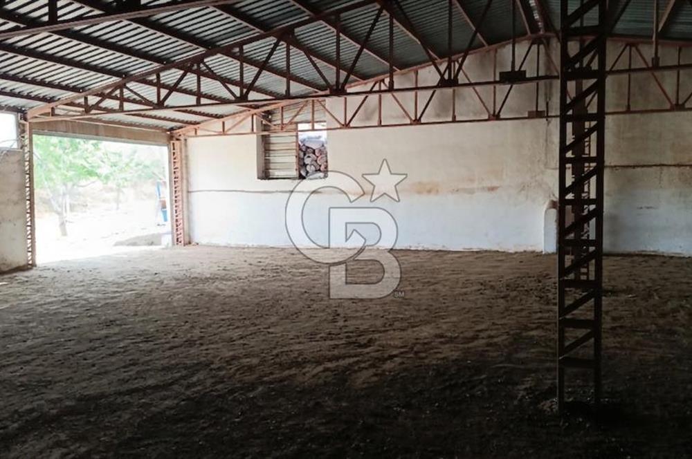 ÜRETIME, DEPOLAMAYA, İMALATA UYGUN SAMSUN YOLUNA 500M FABRIKA