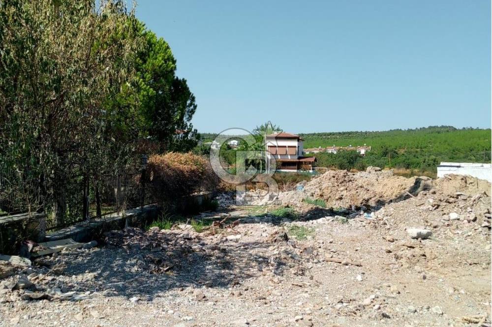 AYVALIK BADAVUT BÖLGESİNDE FIRSAT NİTELİĞİNDE 275 m² ARSA