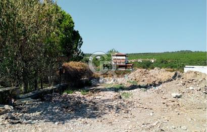 AYVALIK BADAVUT BÖLGESİNDE FIRSAT NİTELİĞİNDE 275 m² ARSA