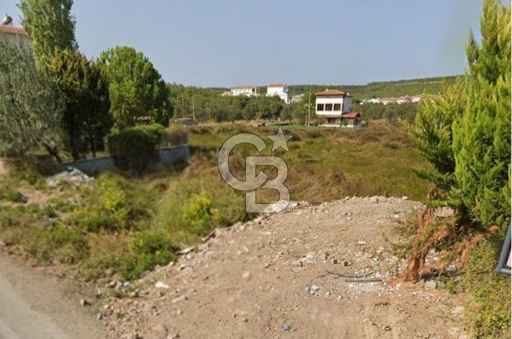 AYVALIK BADAVUT BÖLGESİNDE FIRSAT NİTELİĞİNDE 275 m² ARSA