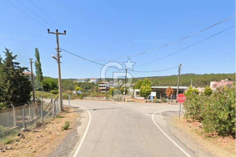 AYVALIK BADAVUT BÖLGESİNDE FIRSAT NİTELİĞİNDE 275 m² ARSA