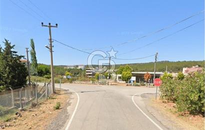 AYVALIK BADAVUT BÖLGESİNDE FIRSAT NİTELİĞİNDE 275 m² ARSA
