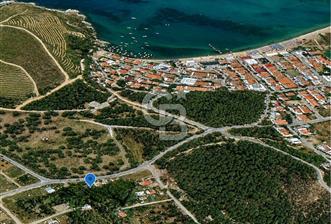 AYVALIK BADAVUT BÖLGESİNDE FIRSAT NİTELİĞİNDE 275 m² ARSA - 1 - 370862