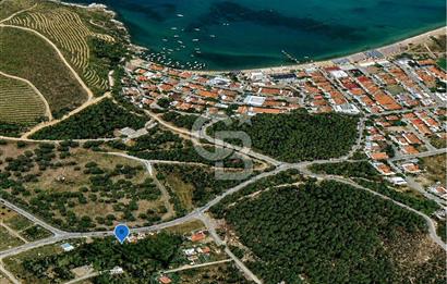 AYVALIK BADAVUT BÖLGESİNDE FIRSAT NİTELİĞİNDE 275 m² ARSA