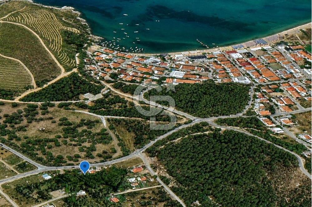 AYVALIK BADAVUT BÖLGESİNDE FIRSAT NİTELİĞİNDE 275 m² ARSA