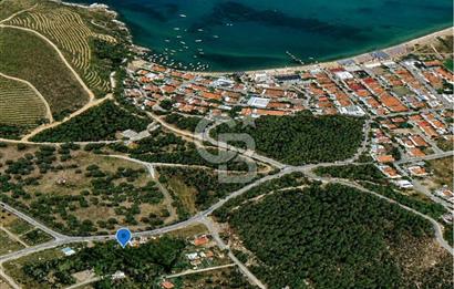AYVALIK BADAVUT BÖLGESİNDE FIRSAT NİTELİĞİNDE 275 m² ARSA