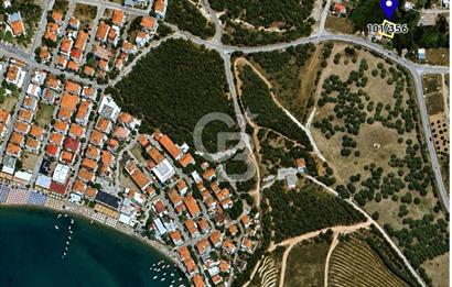 AYVALIK BADAVUT BÖLGESİNDE FIRSAT NİTELİĞİNDE 275 m² ARSA