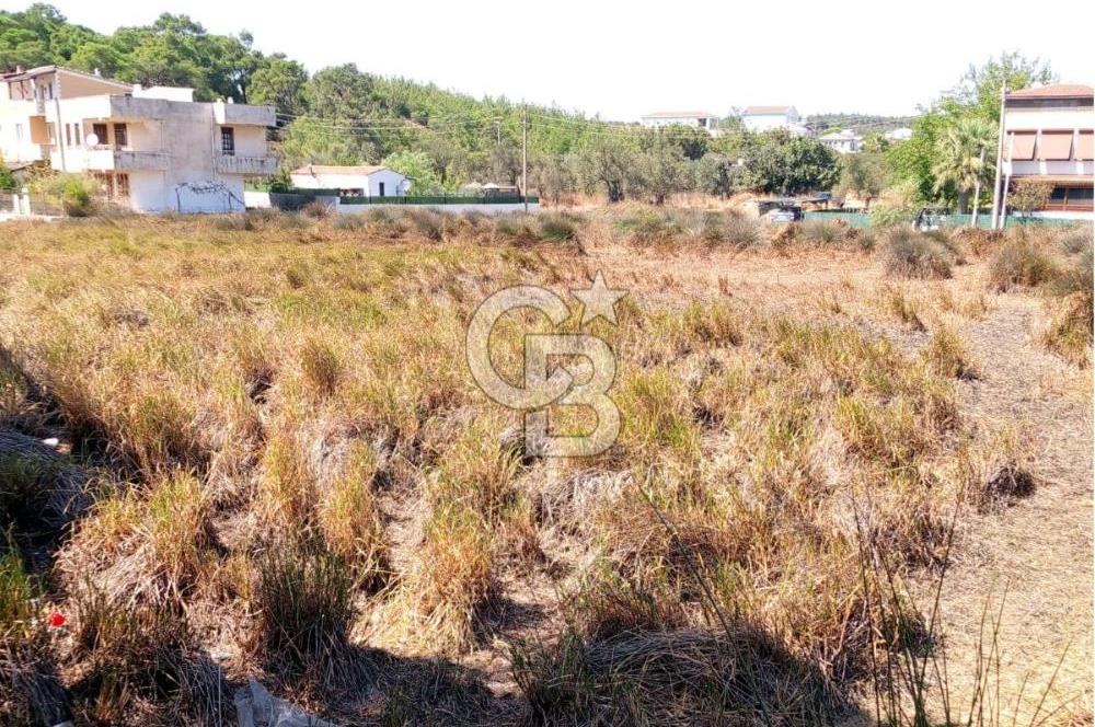 AYVALIK BADAVUT BÖLGESİNDE FIRSAT NİTELİĞİNDE 275 m² ARSA