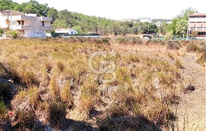 AYVALIK BADAVUT BÖLGESİNDE FIRSAT NİTELİĞİNDE 275 m² ARSA