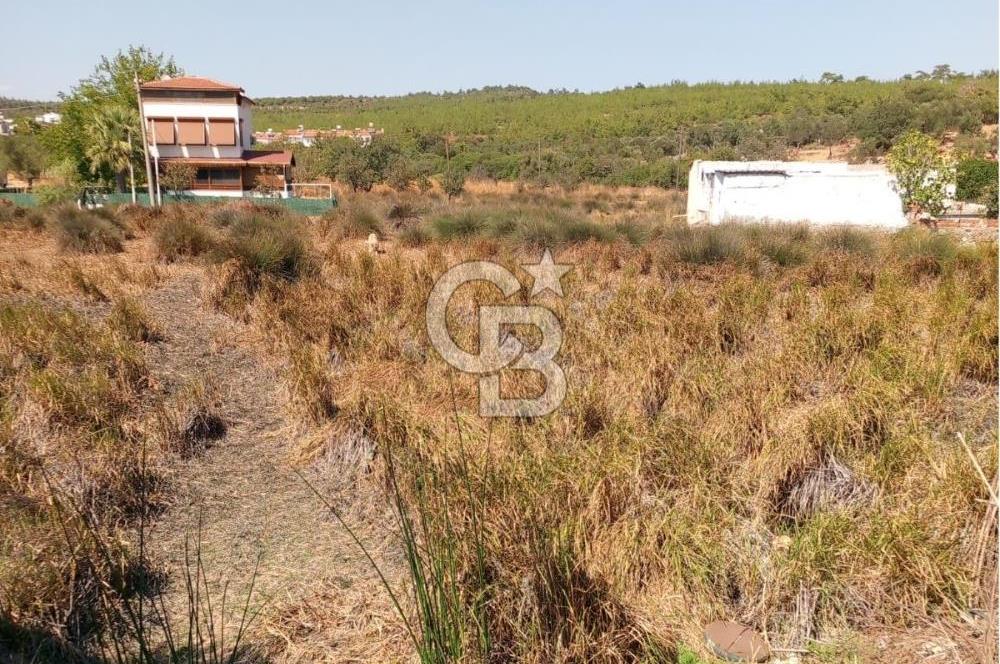 AYVALIK BADAVUT BÖLGESİNDE FIRSAT NİTELİĞİNDE 275 m² ARSA