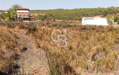 AYVALIK BADAVUT BÖLGESİNDE FIRSAT NİTELİĞİNDE 275 m² ARSA