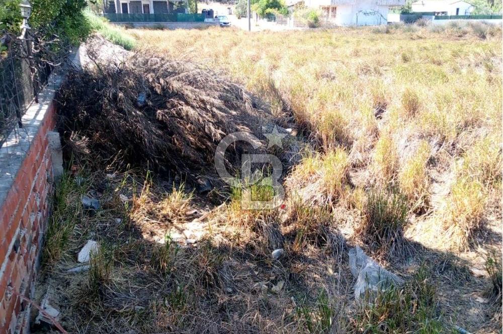 AYVALIK BADAVUT BÖLGESİNDE FIRSAT NİTELİĞİNDE 275 m² ARSA
