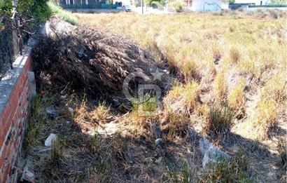AYVALIK BADAVUT BÖLGESİNDE FIRSAT NİTELİĞİNDE 275 m² ARSA