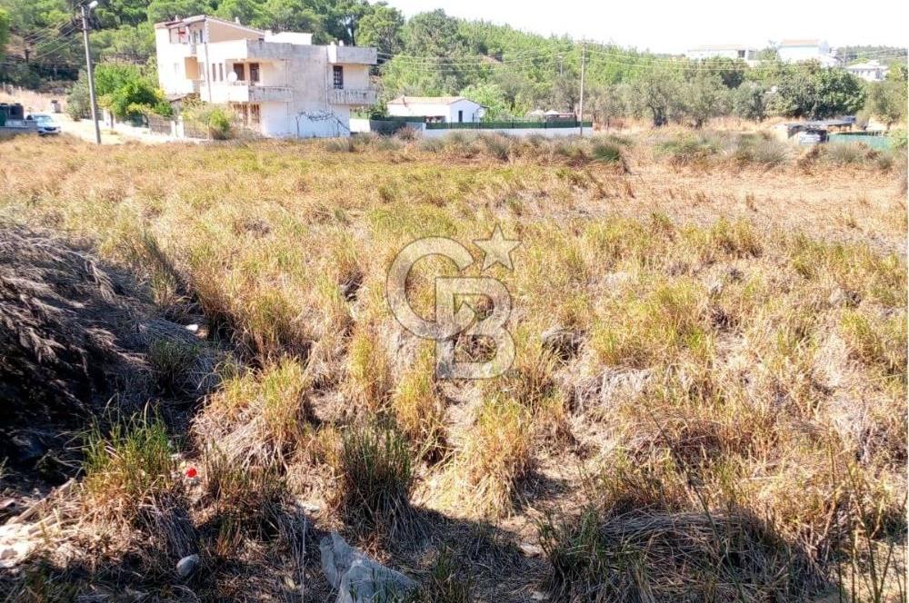 AYVALIK BADAVUT BÖLGESİNDE FIRSAT NİTELİĞİNDE 275 m² ARSA