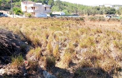 AYVALIK BADAVUT BÖLGESİNDE FIRSAT NİTELİĞİNDE 275 m² ARSA