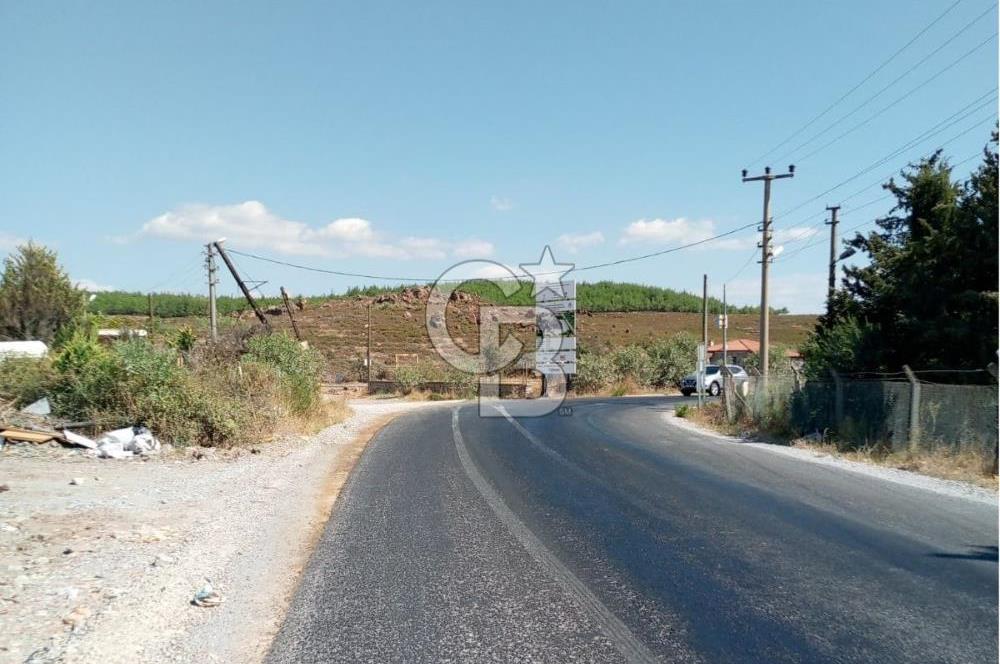AYVALIK BADAVUT BÖLGESİNDE FIRSAT NİTELİĞİNDE 275 m² ARSA