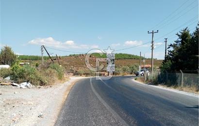 AYVALIK BADAVUT BÖLGESİNDE FIRSAT NİTELİĞİNDE 275 m² ARSA