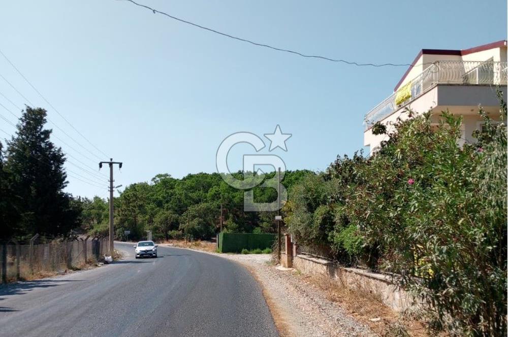 AYVALIK BADAVUT BÖLGESİNDE FIRSAT NİTELİĞİNDE 275 m² ARSA